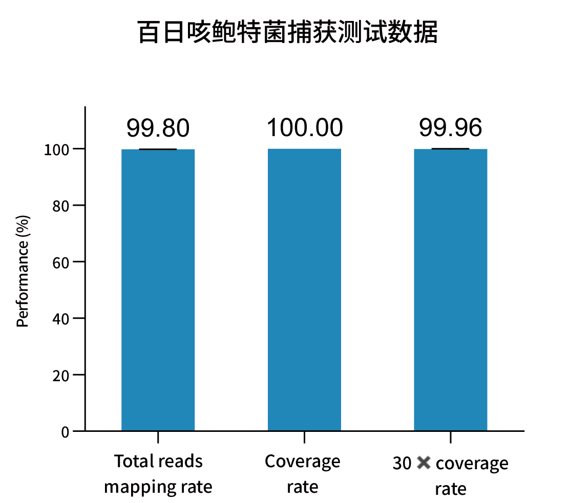 Bordetella pertussis